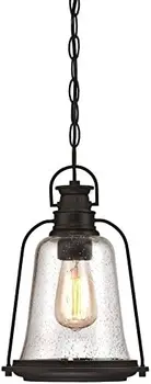 Подвесной светильник Brynn One-Light для улицы, бронзовая отделка, натертая маслом, с бликами и прозрачным стеклом с затравкой