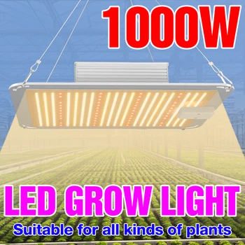 Светодиодный Светильник для Выращивания Полного спектра 300 Вт 500 Вт 1000 Вт 2000 Вт 4000 Вт Фитолампа Для Растений, Светильник Для Выращивания Семян комнатных растений, Коробка для Палатки